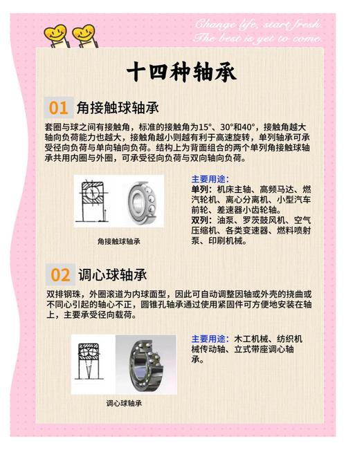 轴承胶盖和铁盖哪个好_轴承胶盖密封和铁盖密封的区别_胶盖轴承