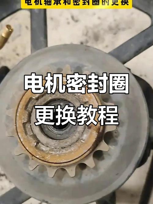 电机机械密封怎么更换_电机端盖密封_电机端盖密封圈方向
