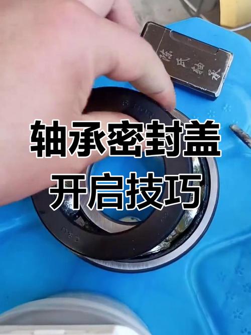 轴承密封盖_轴承密封盖代号_轴承密封盖怎么拆卸
