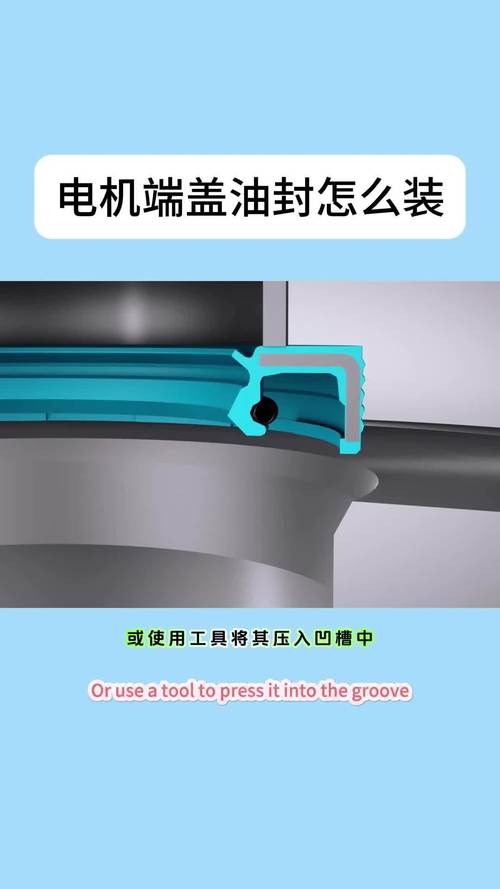 电机盖子用什么密封胶_电机端盖密封圈方向_电机端盖密封